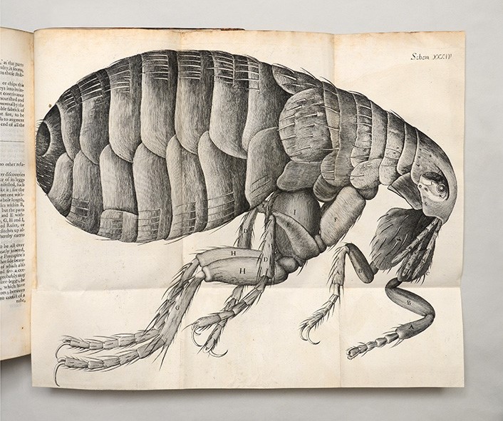 Robert Hooke’s Micrographia