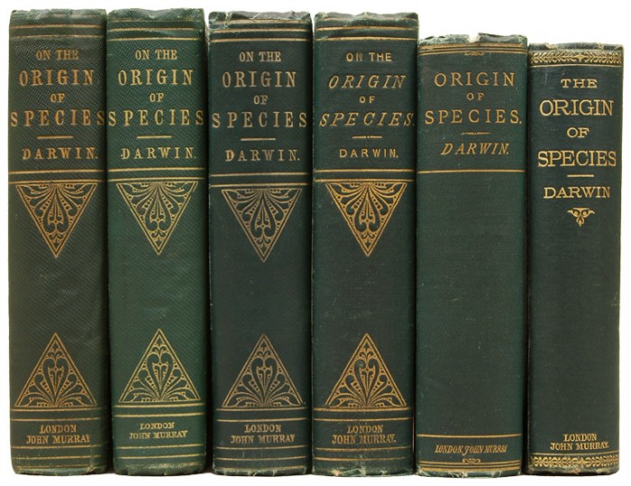 Why Do People Collect First Editions Books?