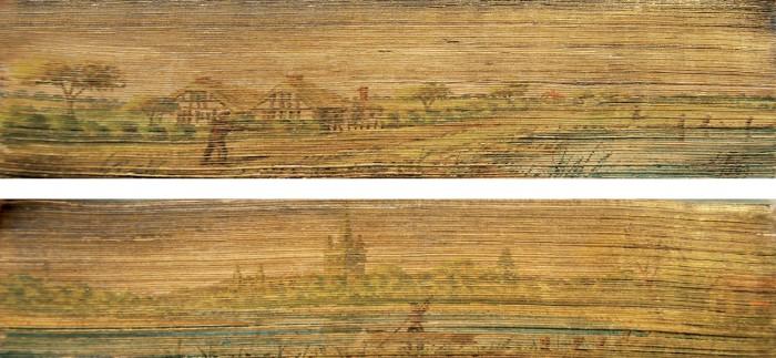 The fore-edge paintings on volumes I and II, visible when the leaves are fanned.