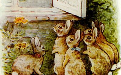 ‘For little rabbits’: a guide to the books of Beatrix Potter