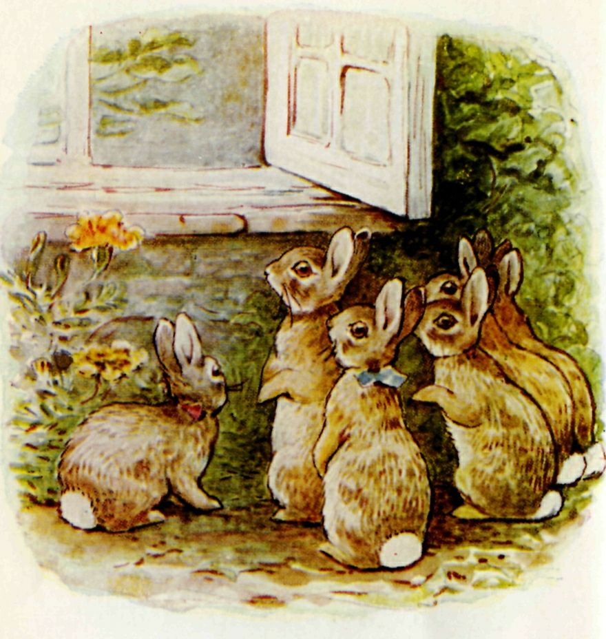 Beatrix Potter, Peter Rabbit, Little Bunnies