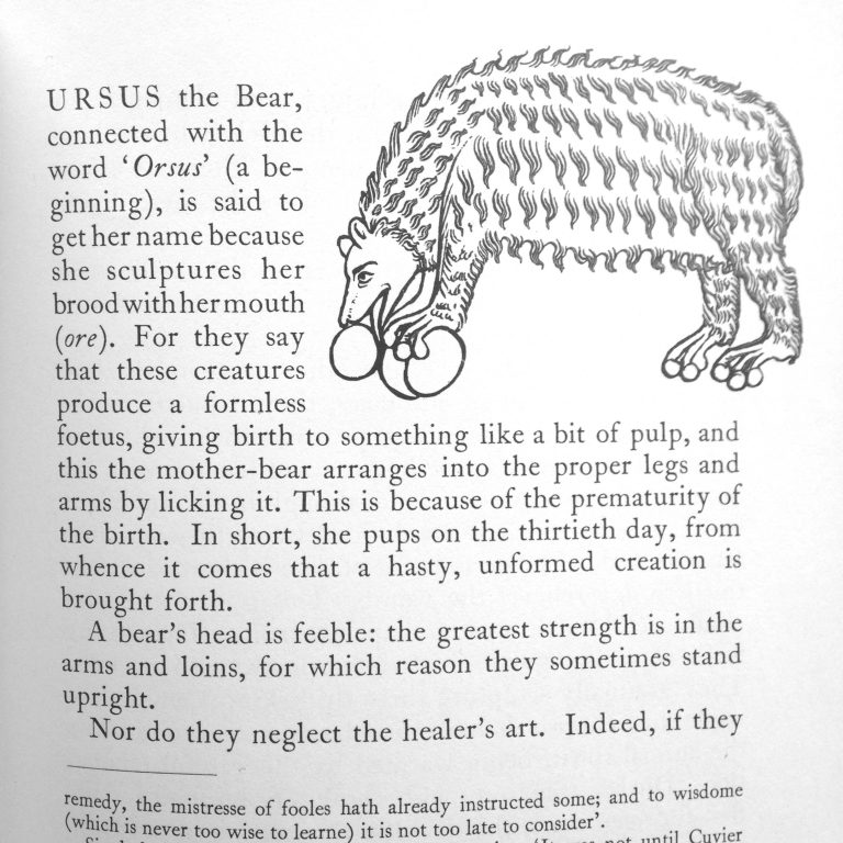 Bear parenthood subject to similar interpretative approach.